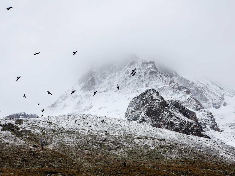 sudoku education game